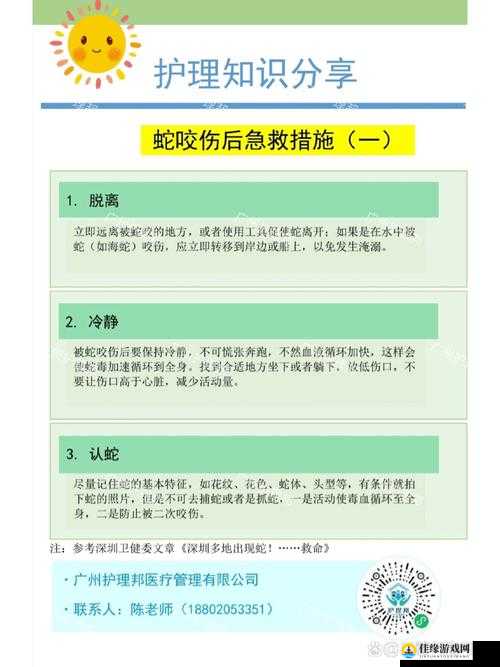 一小时人生，被咬伤解决方法与避免死亡策略的深度探讨